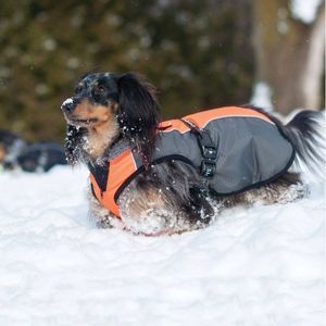 Shedrow K9 Chinook Dog Coat - Neon Orange and Grey Sz. MS